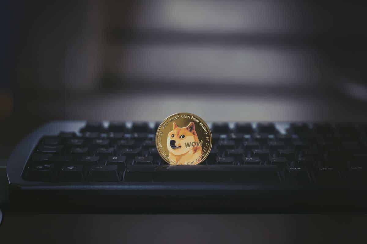 20+ Best Dogecoin Casinos & Gambling Sites for 2024