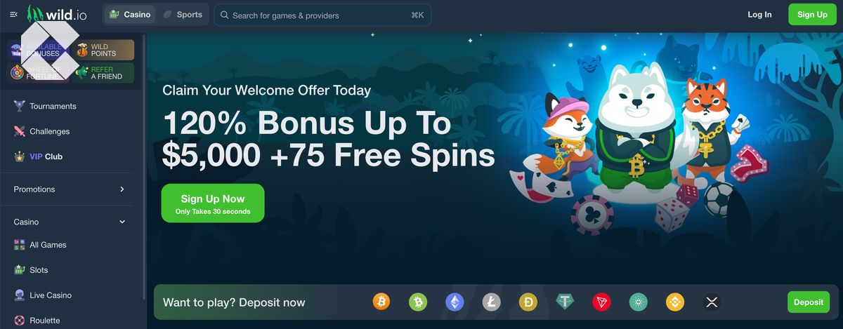 Wild.io casino