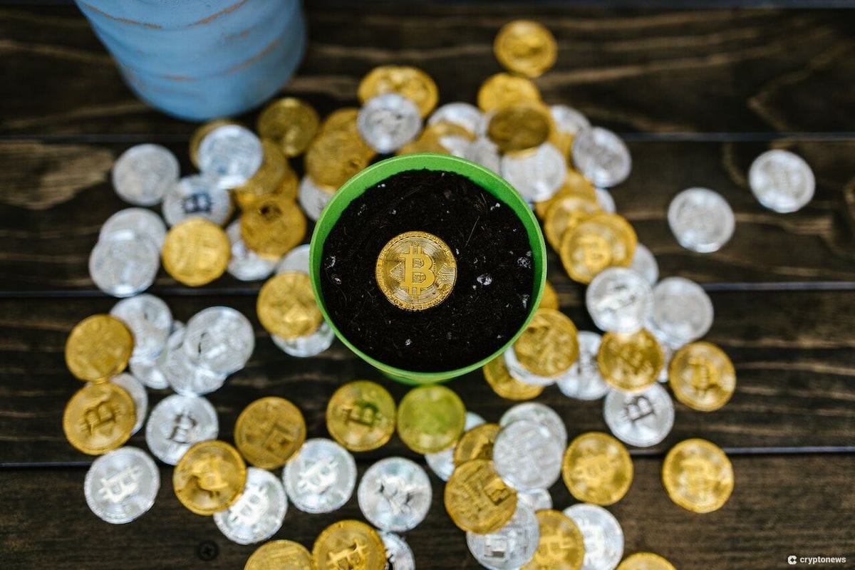 7 Best Crypto to Buy During the Bear Market